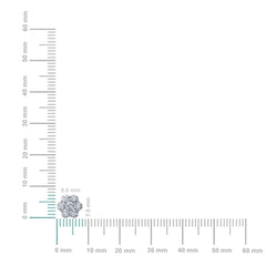 38007-2.jpg