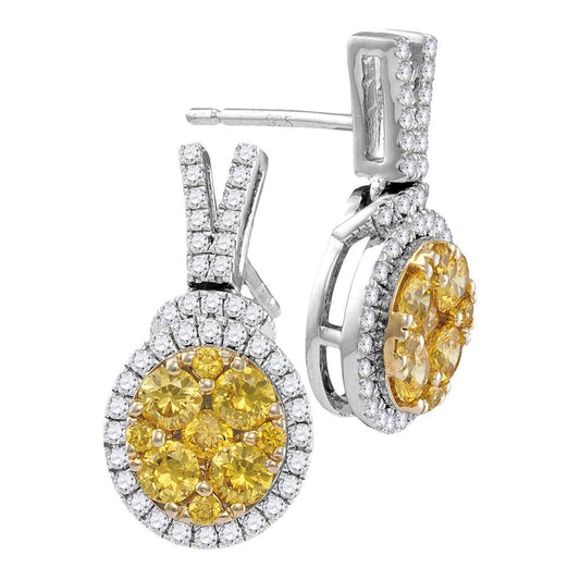 14kt White Gold Womens Round Yellow Diamond Dangle Earrings 1-7/8 Cttw